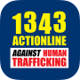 1343 Línea de acción icon