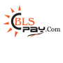 Blspay recarga icon