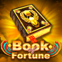 Book of Fortune icon