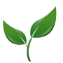 Naturalne domowe środki zaradcze icon
