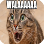 Images d'humour icon