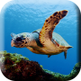 Zielone morze Turtle Live Wallpap icon