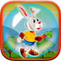 Bunny Rabbit Run : Jungle Fun