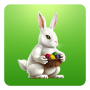 Bunny Rabbit Eggs Collector