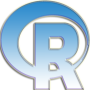 R Solución de programación icon