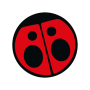 Rádio Carolina 99.3 icon