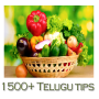 Mais de 1500 dicas Telugu icon