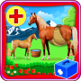 Horse Pregnancy Doctor Surgery