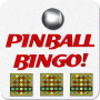 Pinball Bingo Machine