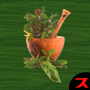 Ajurwedyjskie domowe środki zaradcze icon