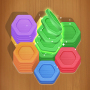 Wood Hexa Puzzle