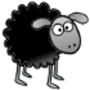 Poopy Sheep