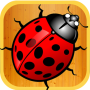 Bug Smasher - Best Insect Game