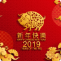 Cartões de desejos de feliz ano novo chinês 2019 icon