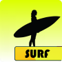 Surfing Lessons