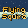 Flying Squire