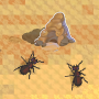 Ant Colony: Wild Forest Game icon