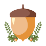 Conquista da porca icon