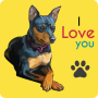 Fondo de pantalla de Doberman icon