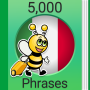 Apprendre l'italien - 5 000 phrases icon