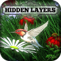 Hidden Layers: Gift of Spring