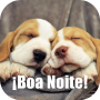 Frases de buenas noches icon