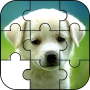 Animal Jigsaw Puzzle