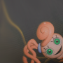 Poppy Chapter 2 Game: Clue icon