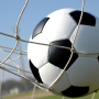 Campeonato Brasileño 2015 icon