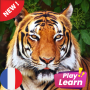 Learn Animals in French: Picture Quiz Spelling icon