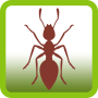 Ant Smasher Free Game