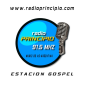 Principe de la radio icon