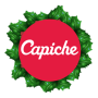 Capiche: Santas Little Helper icon