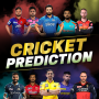 Cricket Score : Prediction