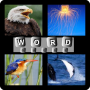 4 Pics 1 Word