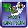 Pixognition