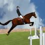 Steeplechase - Horse Jumping