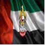Embajada de los Emiratos Árabes Unidos en Sudáfrica icon