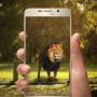 Poke Animals GO icon