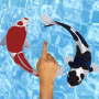 Koi Fishing Fingers Game